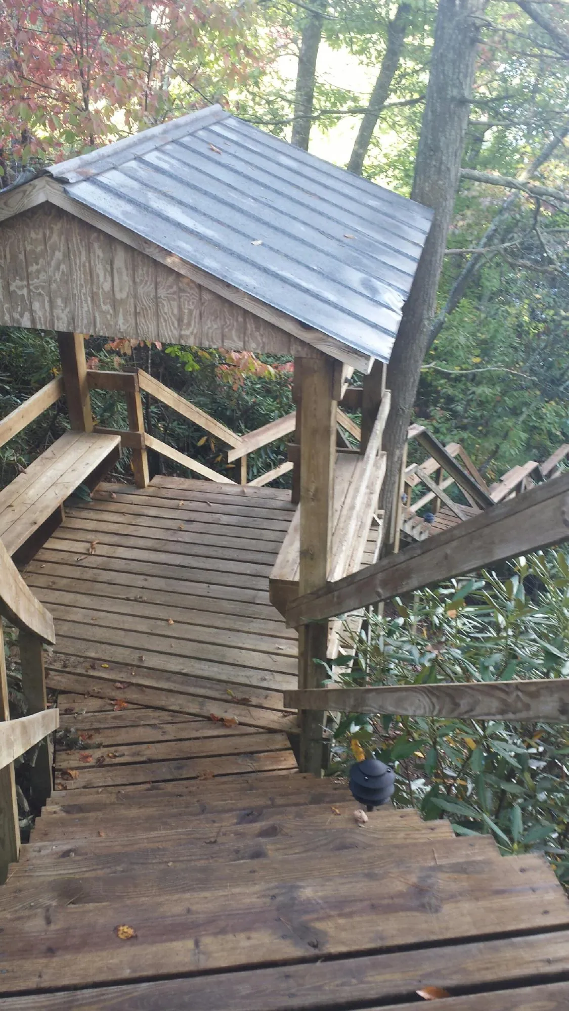 Metal roofed shelter over wooden steps on a wooded walkway — Skylight Repair & Installation work by our crew in Larimer