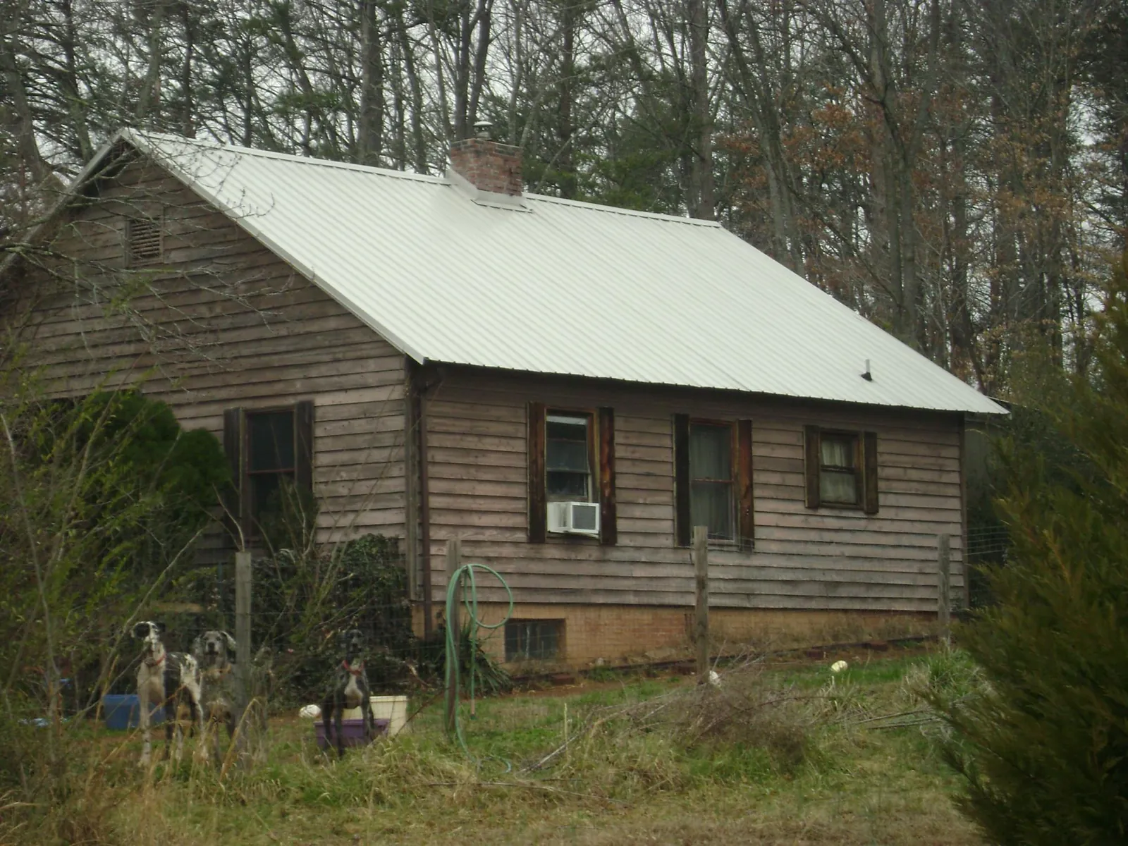 White metal roof on an old wood sided farmhouse, from a Metal Roof Installation job in Larimer